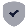 Security Check icon preview