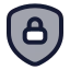 Securitylock icon with duotone rounded style
