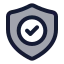 Securityvalidation icon with duotone standard style