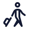Self Transfer icon preview