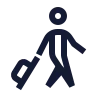 Self Transfer icon preview
