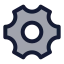 Settings icon with duotone standard style
