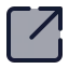 Share icon with duotone standard style