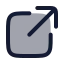 Share icon with duotone rounded style