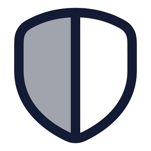 Shield Half Icon in Duotone Rounded style