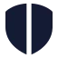 Shieldhalf icon with solid standard style