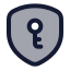 Shieldkey icon with duotone rounded style