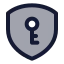 Shieldkey icon with duotone standard style