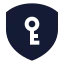 Shieldkey icon with solid sharp style