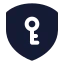 Shieldkey icon with solid standard style