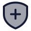 Shieldplus icon with duotone standard style