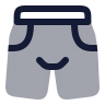 Shorts Pants icon preview