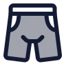 Shorts Pants icon preview