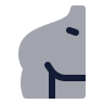 Shoulder icon preview