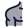 Shoulder icon preview