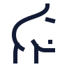 Shoulder icon preview