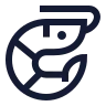 Shrimp icon preview