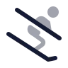 Ski icon preview