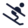 Ski icon preview