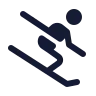 Ski icon preview