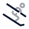 Ski icon preview