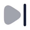 Skip Forward icon preview