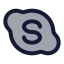 Skype icon with duotone rounded style