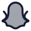 Snapchat icon with duotone rounded style