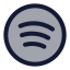 Spotify icon with duotone standard style