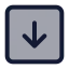Squarearrowdown icon with duotone standard style