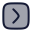 Squarearrowright icon with duotone rounded style