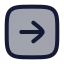 Squarearrowright icon with duotone rounded style