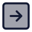 Squarearrowright icon with duotone standard style