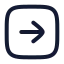 Squarearrowright icon with stroke rounded style