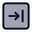Squarearrowright icon with duotone standard style