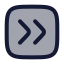 Squarearrowrightdouble icon with duotone rounded style
