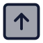 Squarearrowup icon with duotone standard style