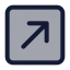 Squarearrowupright icon with duotone standard style