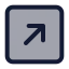 Squarearrowupright icon with duotone standard style