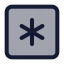 Squareasterisk icon with duotone standard style