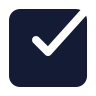 Square Check Big icon preview