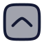 Duotone