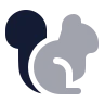 Squirrel icon preview
