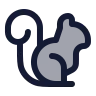 Squirrel icon preview