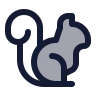 Squirrel icon preview