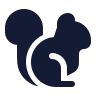 Squirrel icon preview