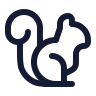 Squirrel icon preview