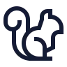 Squirrel icon preview