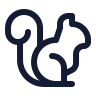 Squirrel icon preview