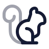 Squirrel icon preview